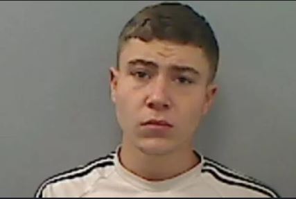 Dylan Willis, locked up for violent disorder after summer riots, is to be freed after the Court of Appeal suspended his sentence