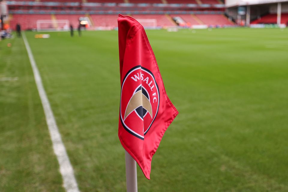 A kitman and pitch-side announcer at Walsall have been charged by the FA