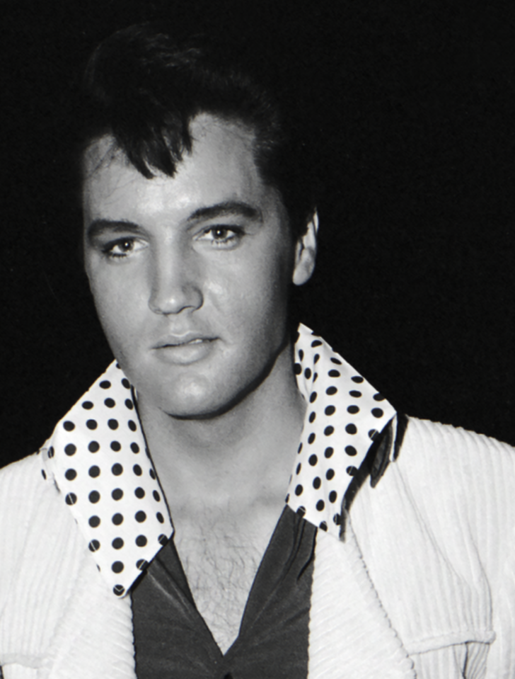 Return of the King examines Elvis Presley's career