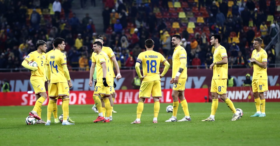 Romania players were left bemused and alone on the pitch