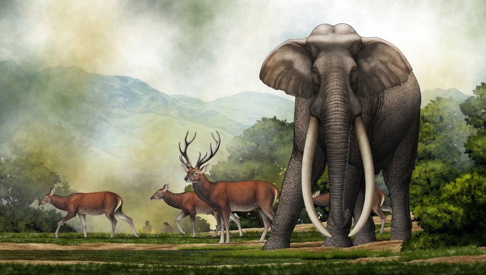 The Palaeoloxodon was one of the largest ever mammals and was 13ft tall (artists impression)