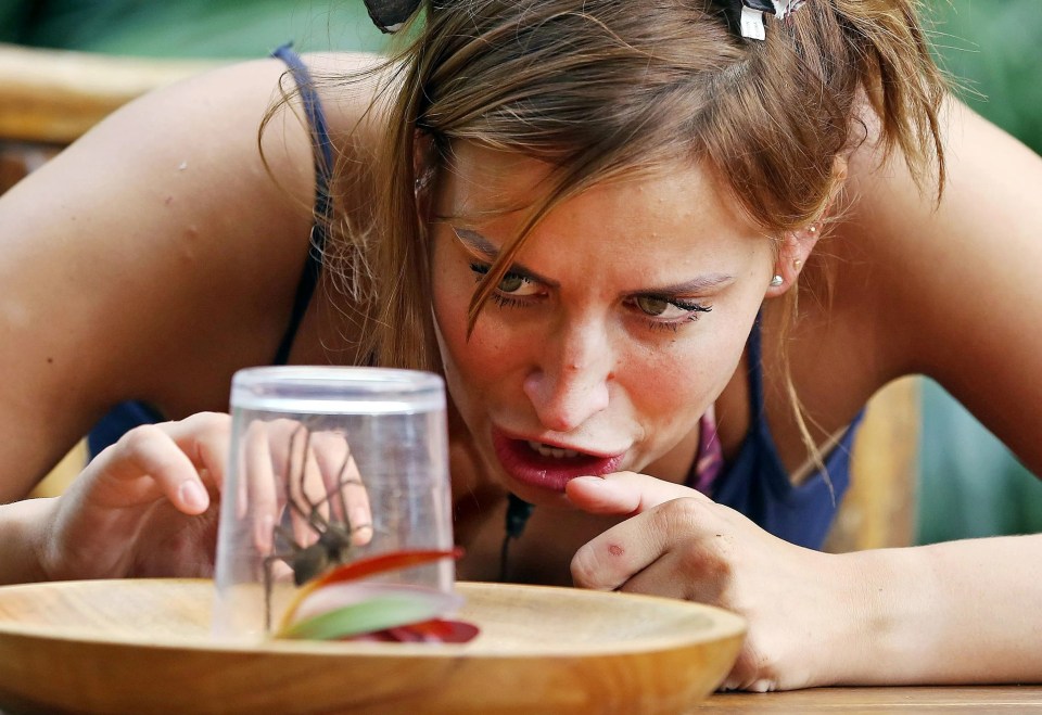 Viewers called Ofcom when Ferne McCann ate a spider in 2015