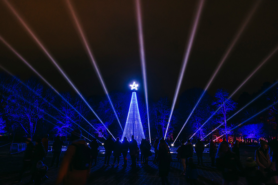 a christmas tree is lit up with blue lights and a star on top