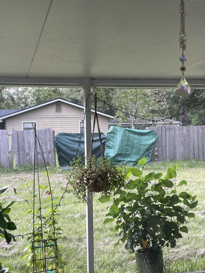 A woman has revealed after after part of her fence fell down in a recent storm, her neighbours have begun filming her home