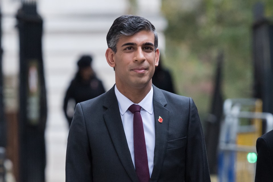 a man in a suit and tie has a poppy pin on his shirt