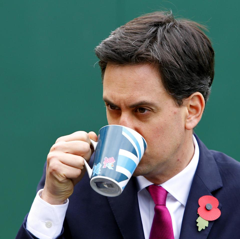 People will have to restrict when they boil the kettle to help Ed Miliband hit his 2030 clean power targets, according to a report