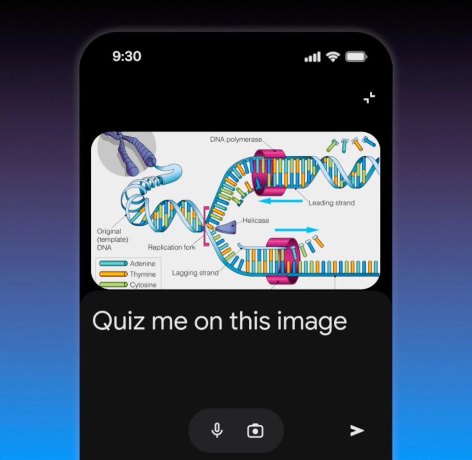 You can share images or take photos to show Gemini – and find out information about them