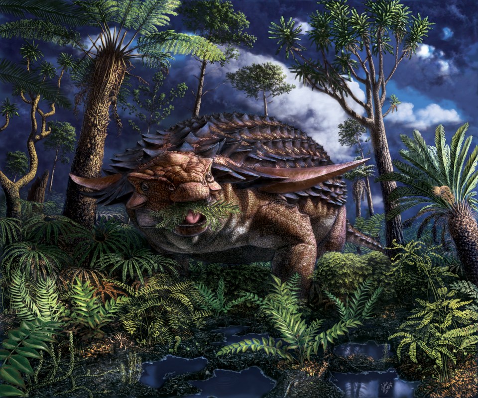 An illustration of how a nodosaur is believed to have looked