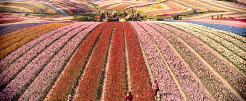 Nine million tulips were planted in Norfolk so that the fictional Munchkinland appeared real