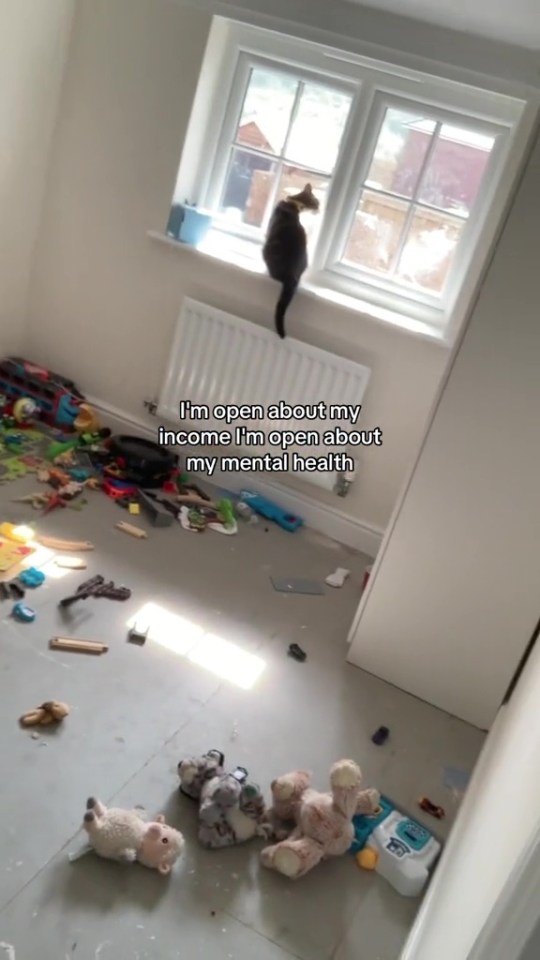 a cat sits on a window sill in a messy room