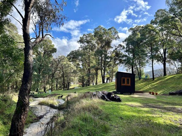 A DIY enthusiast has revealed that she lives in a tiny home in the middle of the woods