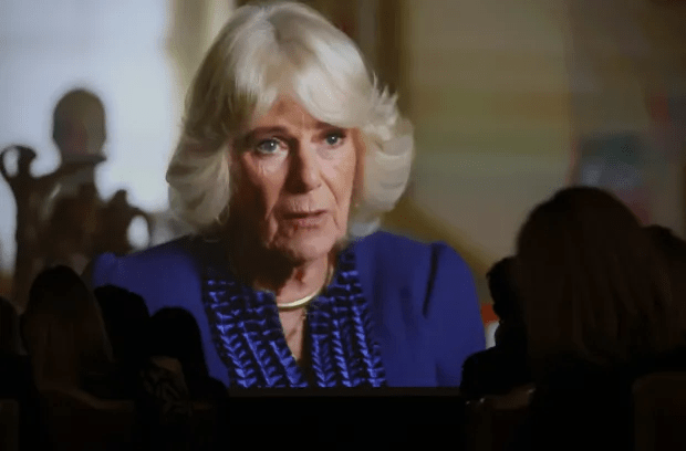 Camilla has vowed to help after hearing stories from domestic abuse survivors in a new TV show