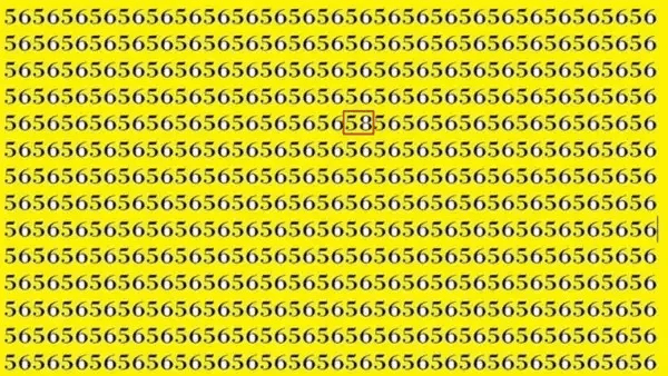 Were you able to find the odd number 58 highlighted above?