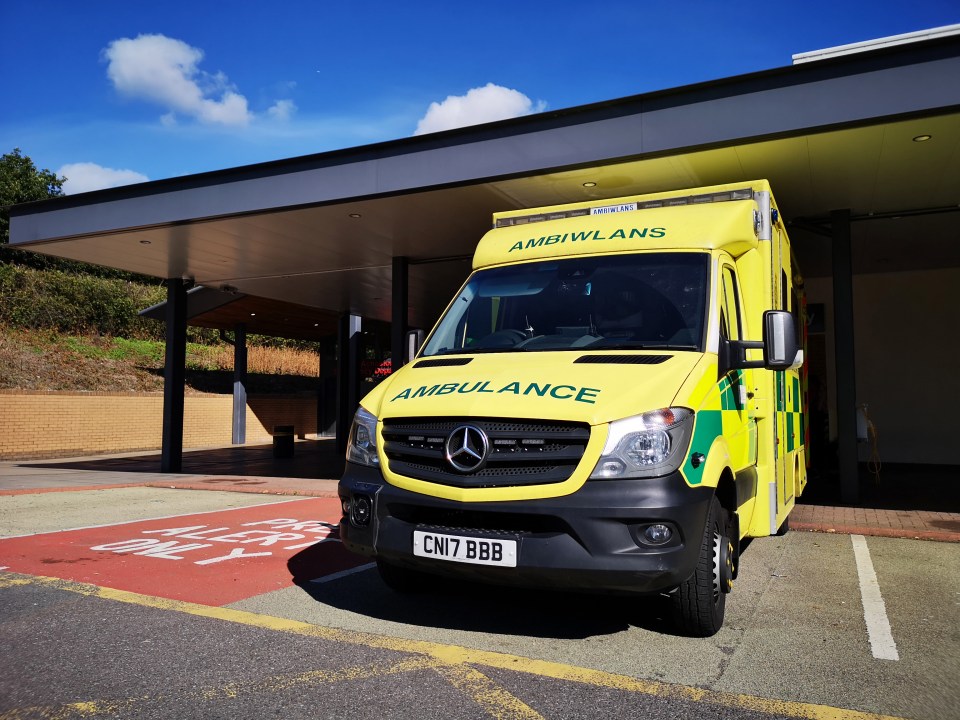 An 82-year-old woman died after 15 hours laying on the floor at home waiting for an ambulance (stock photo)