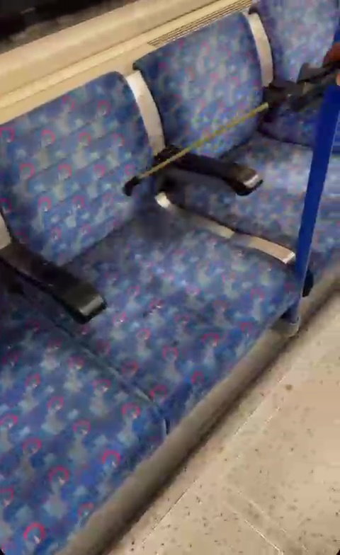 a row of blue seats on a bus with a yellow line between them .