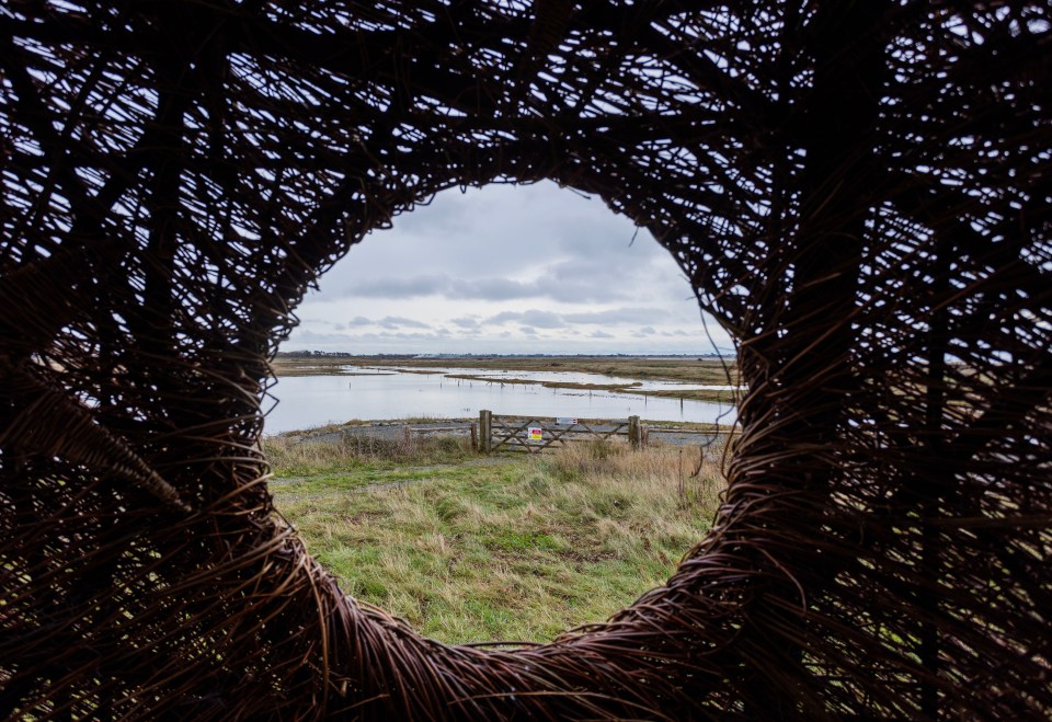 a view of a flooded field through a wicker structure