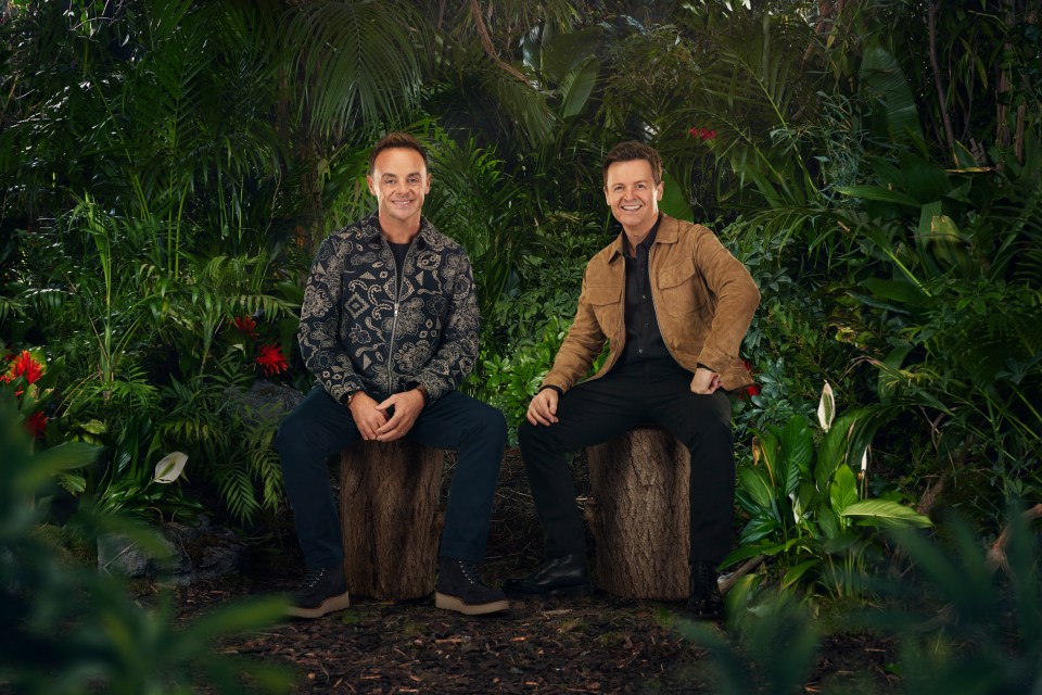 Ant and Dec will return to our screens this Sunday