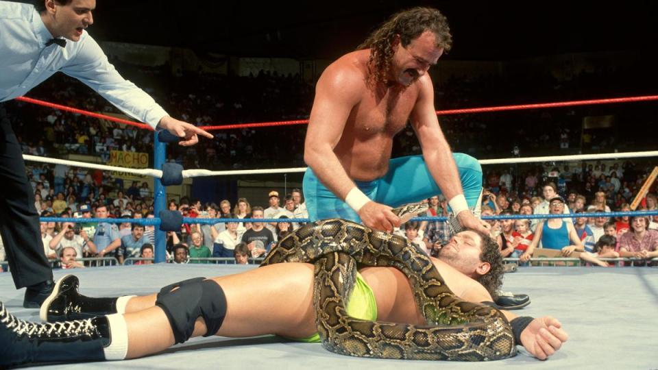 Jake ‘The Snake’ Roberts has opened up on how steroids affected his career