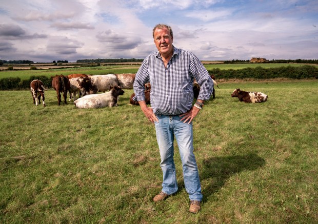 a man standing in a field with cows in the background