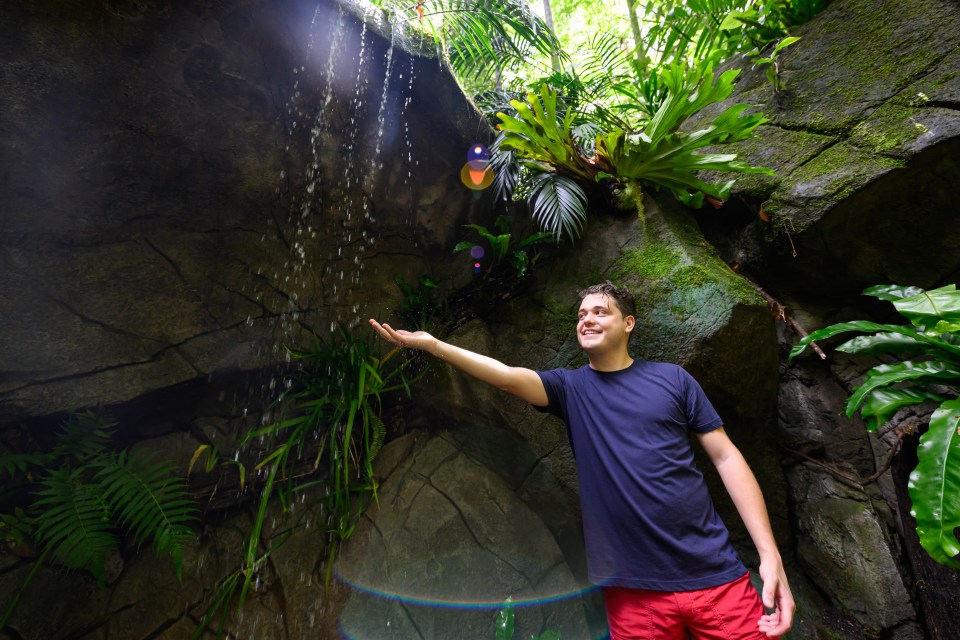 a man reaches out to touch a waterfall in the jungle