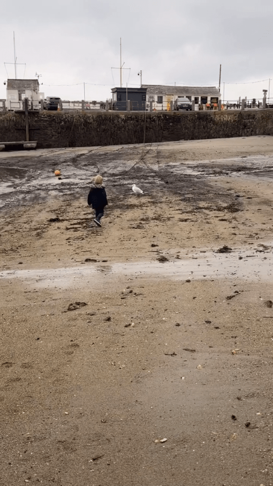 a person running on a beach with a seagull in the background