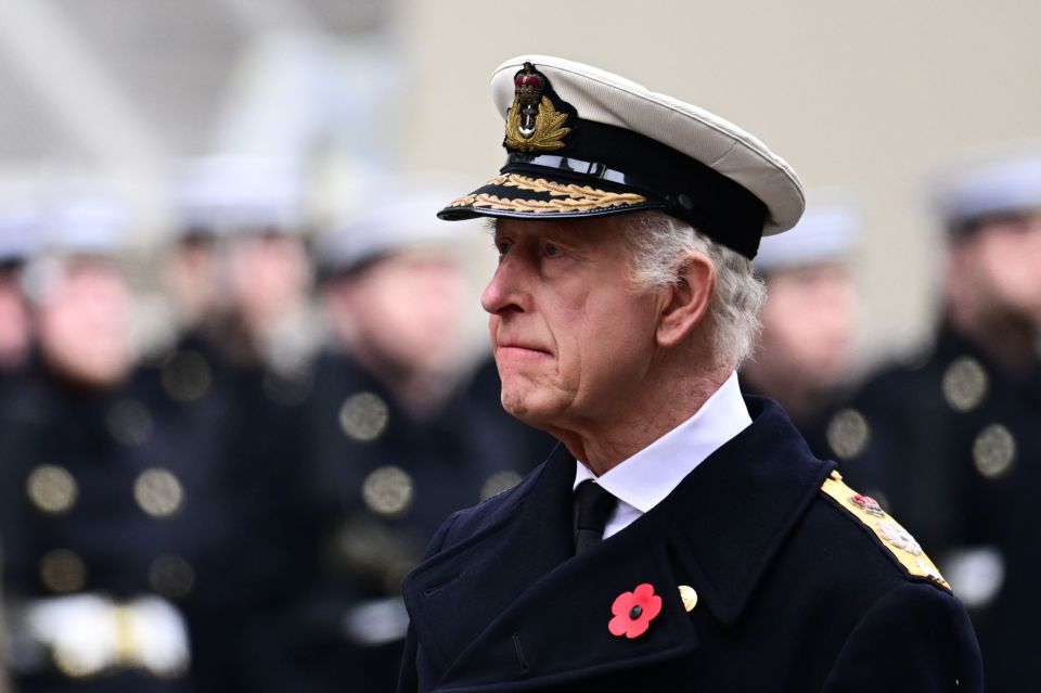 a man in a military uniform has a poppy on his jacket