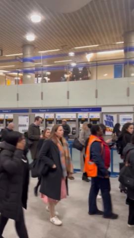 The delays caused by the alert led to overcrowding in the station