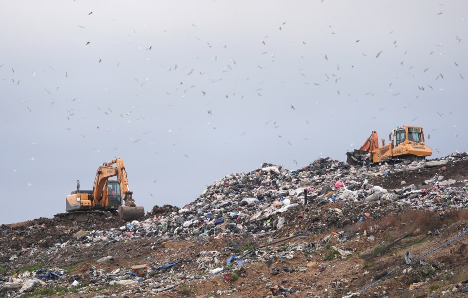 Officers are focusing on a 5,000 square metre area at the landfill site in Essex