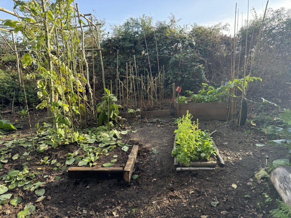 Martin has even made two veg patches which locals love