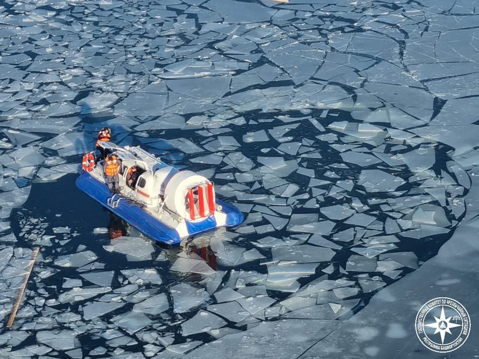 The ice where the owner fell in was only three quarters of an inch thick