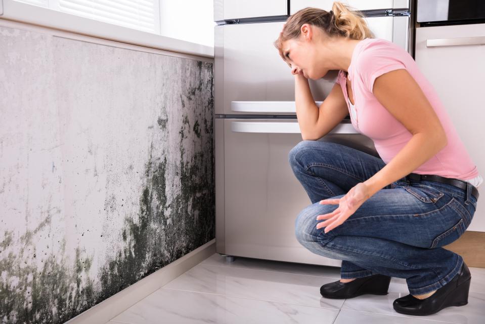 Experts have revealed the top ten cities that suffer with the worst mould