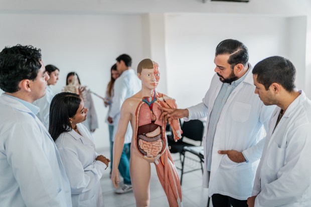 a group of doctors are looking at a model of the human body