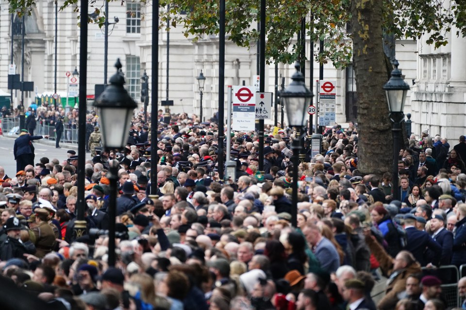 Members of the public gather on Whitehall