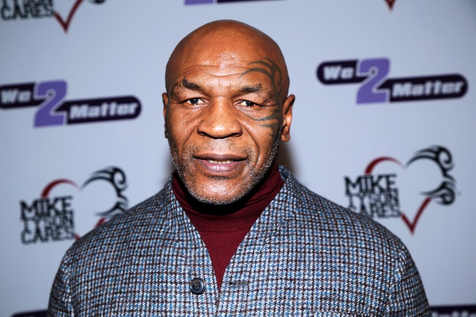 Mike Tyson is known for his hell-raising antics - but there's a softer side to the boxing great