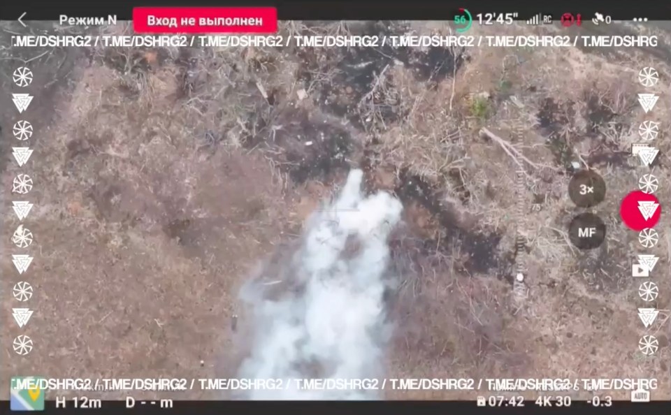 Footage shows Russian forces smoking out Ukranian troops