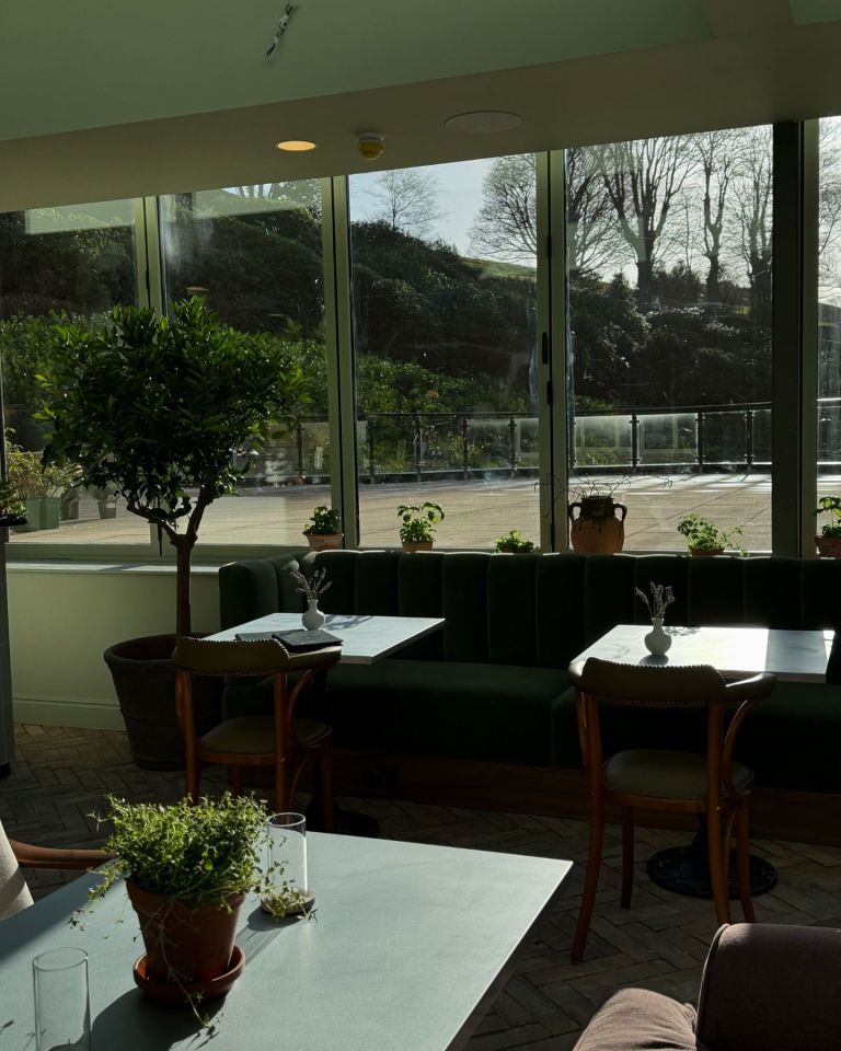 a room with tables and chairs and potted plants