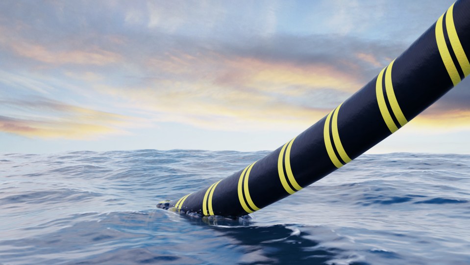 A crucial undersea cable linking Finland to Germany has been cut, disrupting communication services between the two countries (stock image)