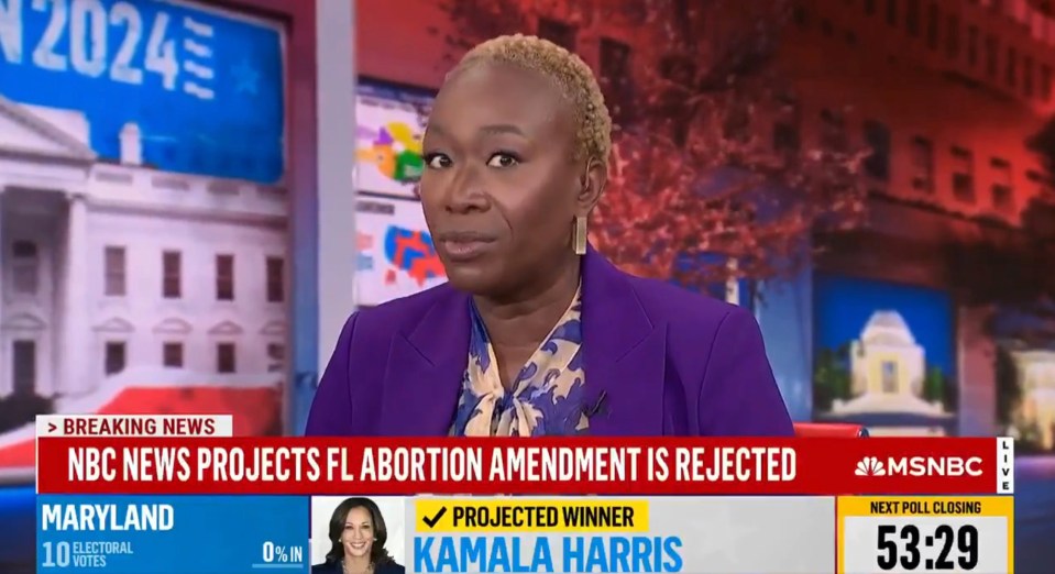 News anchor Joy Reid had a public meltdown on live TV when Florida failed to pass an abortion amendment