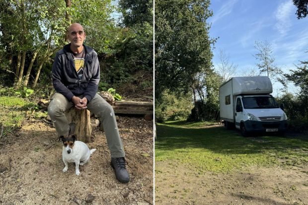 a man sits on a tree stump next to a small dog and a white van with a license plate that says iveco