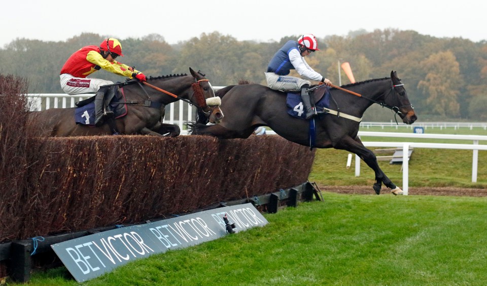 a horse race with a sign that says bet victor on it