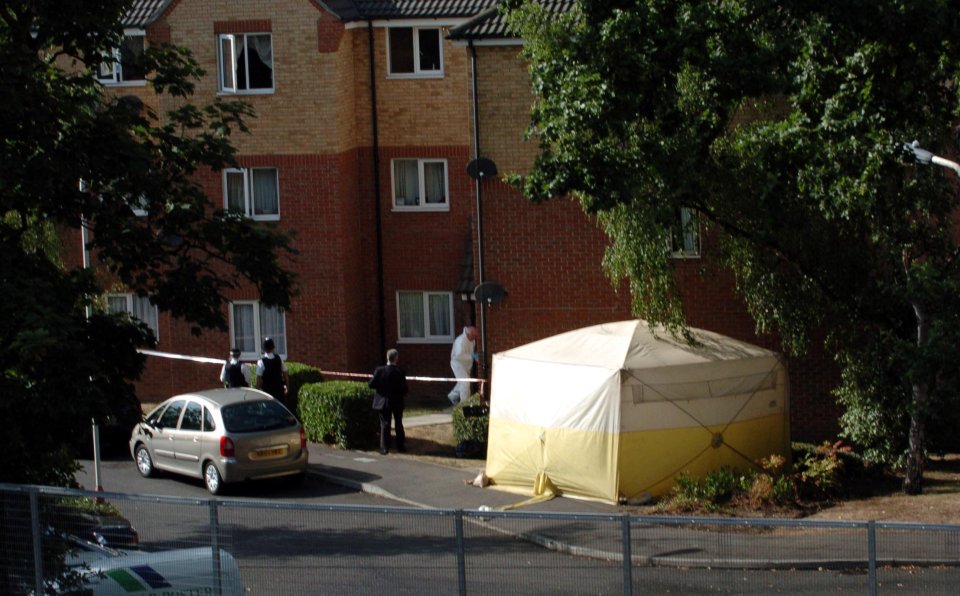 The block of flats where Jean Charles lived in Tulse Hill