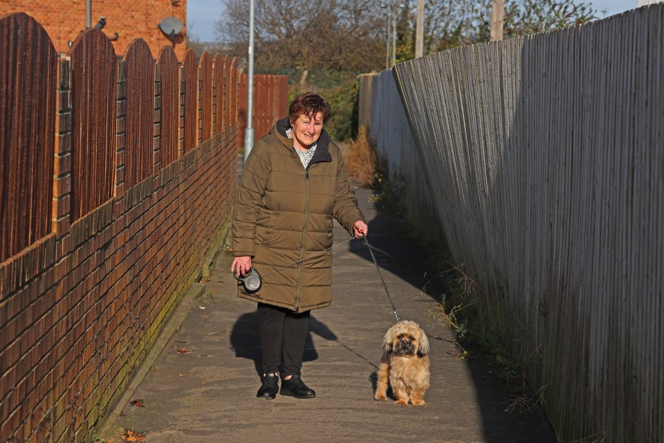 Resident Miriam Hitchman lives directly beside the ground