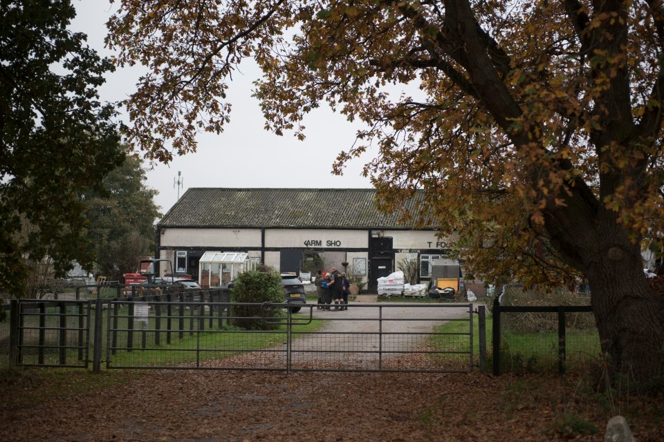 Around 31 animals are understood to be kept at the site