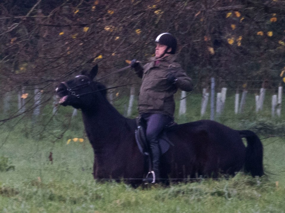 Prince Andrew struggled on his horse at the Windsor Castle estate yesterday