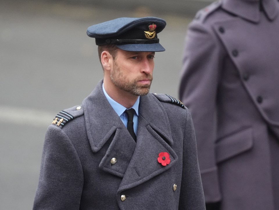 a man in a military uniform has a poppy on his jacket