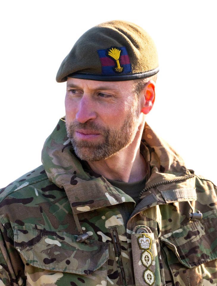 Prince William looked like an action figure in his Army uniform this week