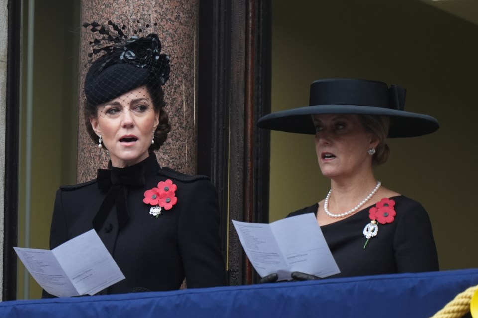 a woman wearing a black hat and a poppy brooch