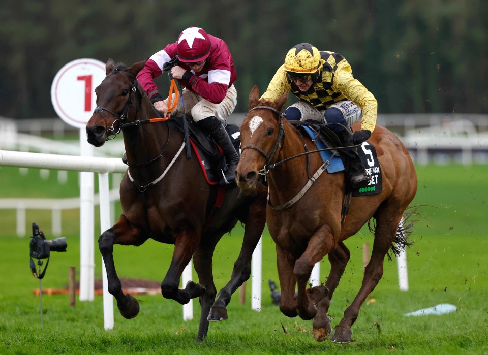 Brighterdaysahead (left) beat State Man at Punchestown - but is still likely to head to the Mares' Hurdle