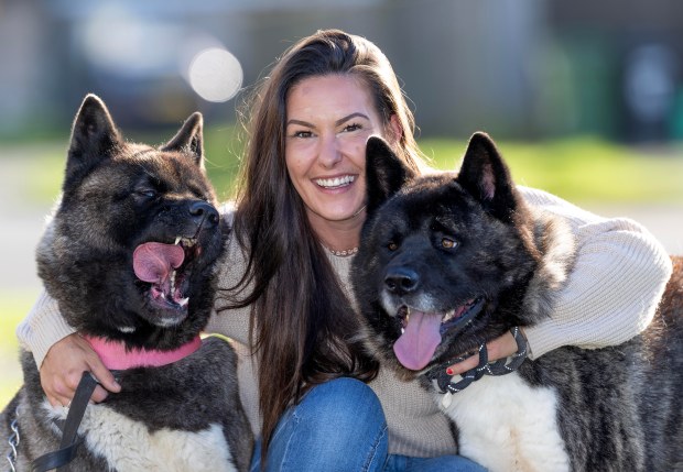 a woman is posing with two dogs one of which has a pink collar