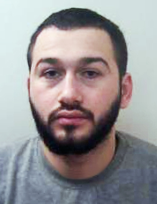 Emiliano Krosi who carried out 33 burglaries has been jailed